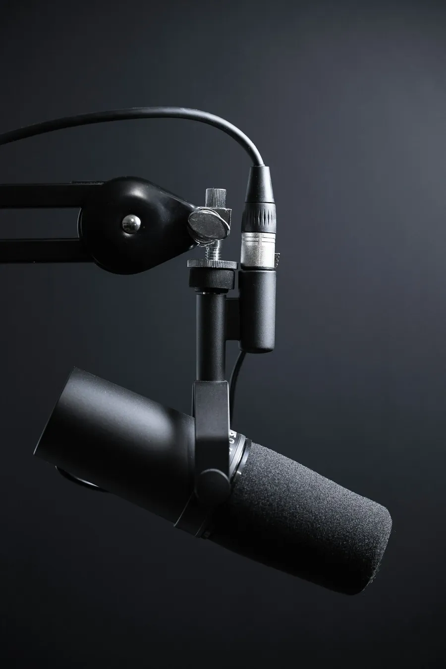 Where synthetic voices get made